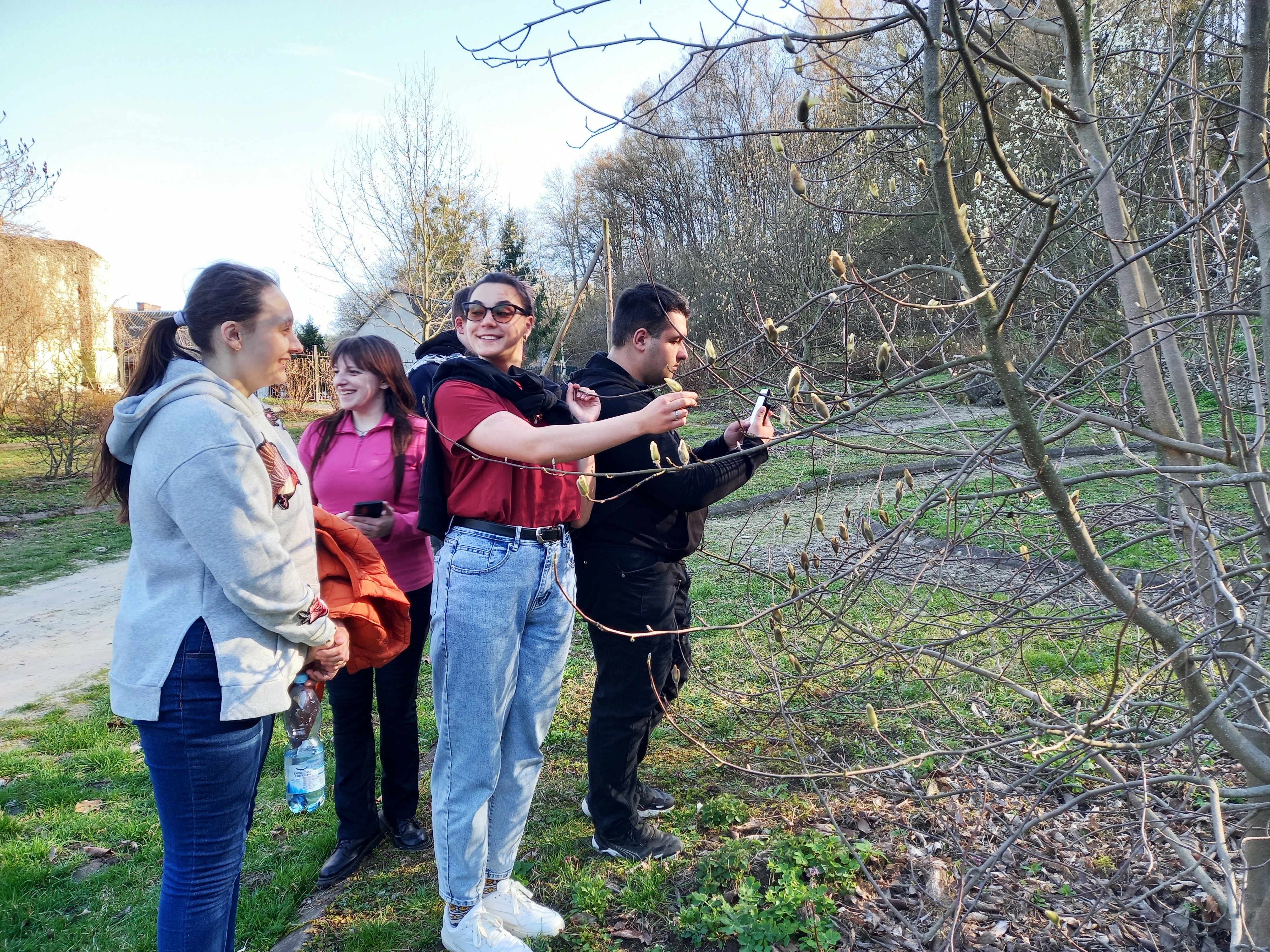 Вивчаємо магнолію.jpg
